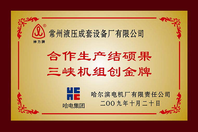 “合作生产结硕果三峡机组创金牌”称号